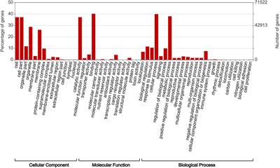 Development of genomic resources for Rhodes grass (Chloris gayana), draft genome and annotated variant discovery